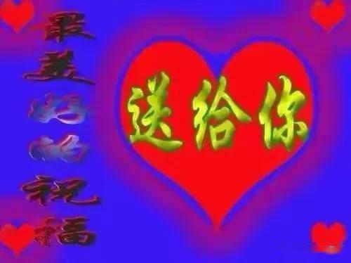 今日头条写玫瑰的诗,玫瑰诗篇，绽放情感之花